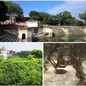 श्री-भक्तमाल-२८-–-श्री-धाम-के-वृक्ष