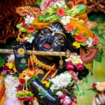 Radhamadhav Iskcon Mayapur